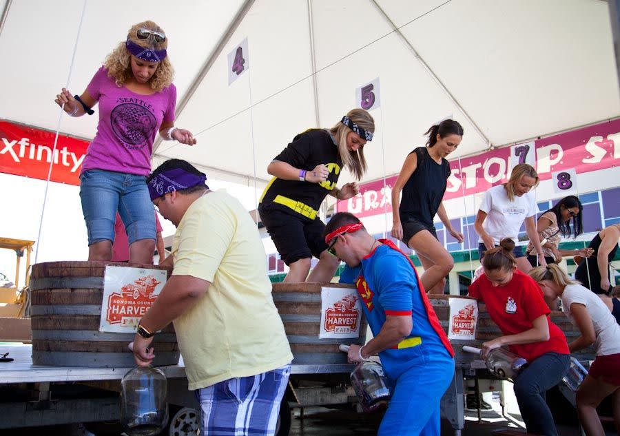 18) Sonoma County Harvest Fair