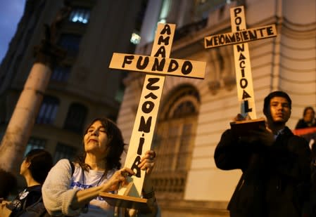 Brazilians attend a demonstration to demand more protection for the Amazon rainforest, in Rio de Janeiro