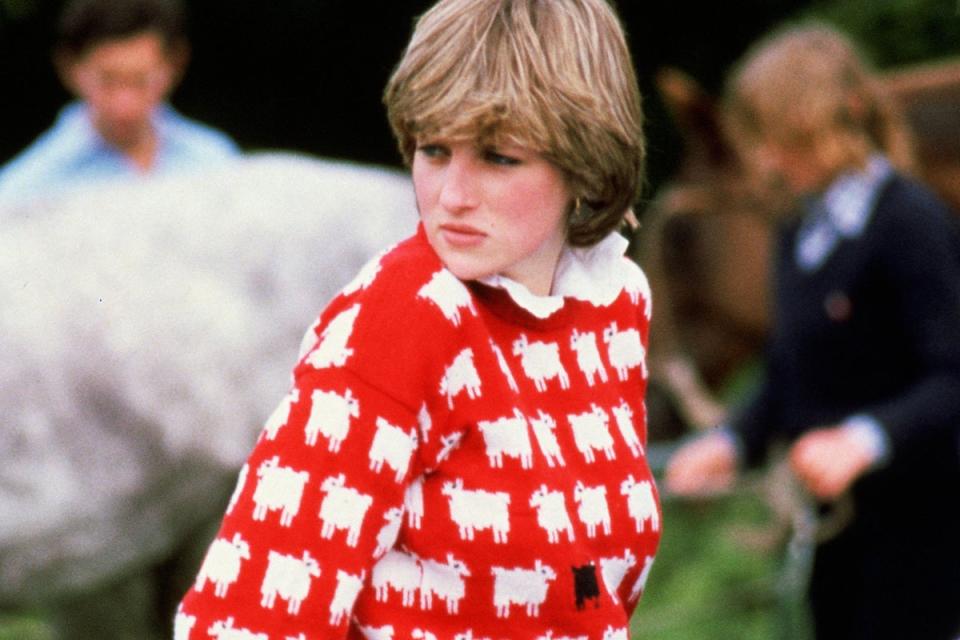 Princess of Wales (1961 - 1997) wearing ‘Black sheep’ wool jumper by Warm and Wonderful (Tim Graham Photo Library/Getty)