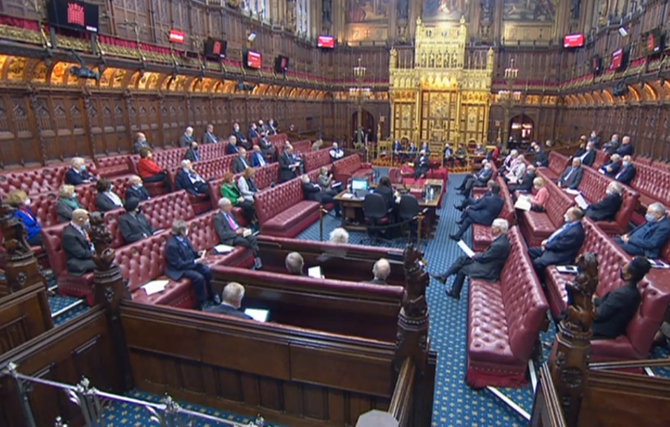 Peers debate the Bill