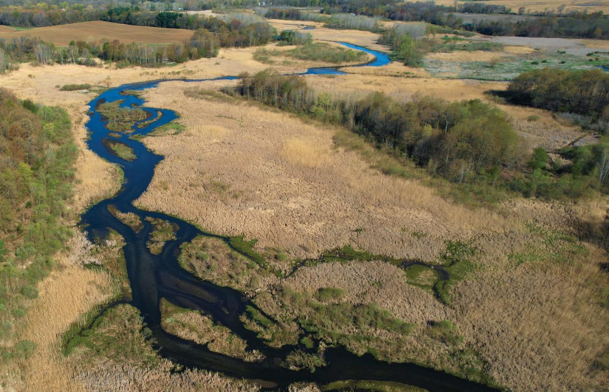 The Southwest Michigan Land Conservancy is in the process of purchasing and conserving the LaGrange Valley Wetlands near LaGrange, Mich., where the Dowagiac and Talkie creeks flow.