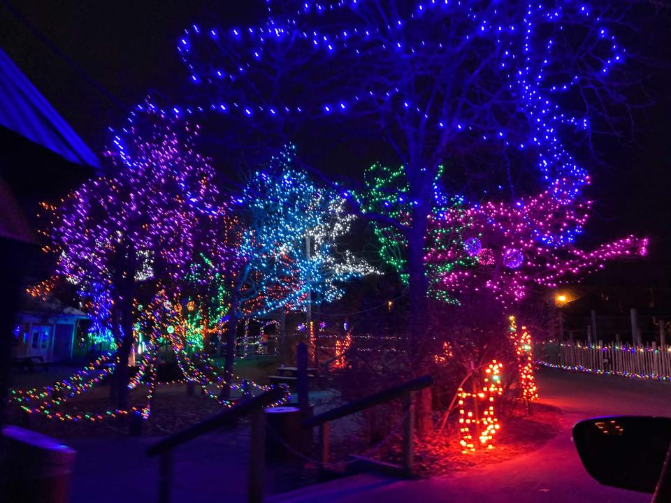 When the sun goes down, the Roger Williams Park Zoo becomes a magical wonderland. (Rachel Nunes/Patch)
