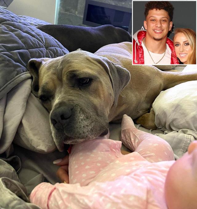 Baby Sterling Snuggles Up to Dad Patrick Mahomes in Sweet Family Photo from  Mom Brittany Matthews