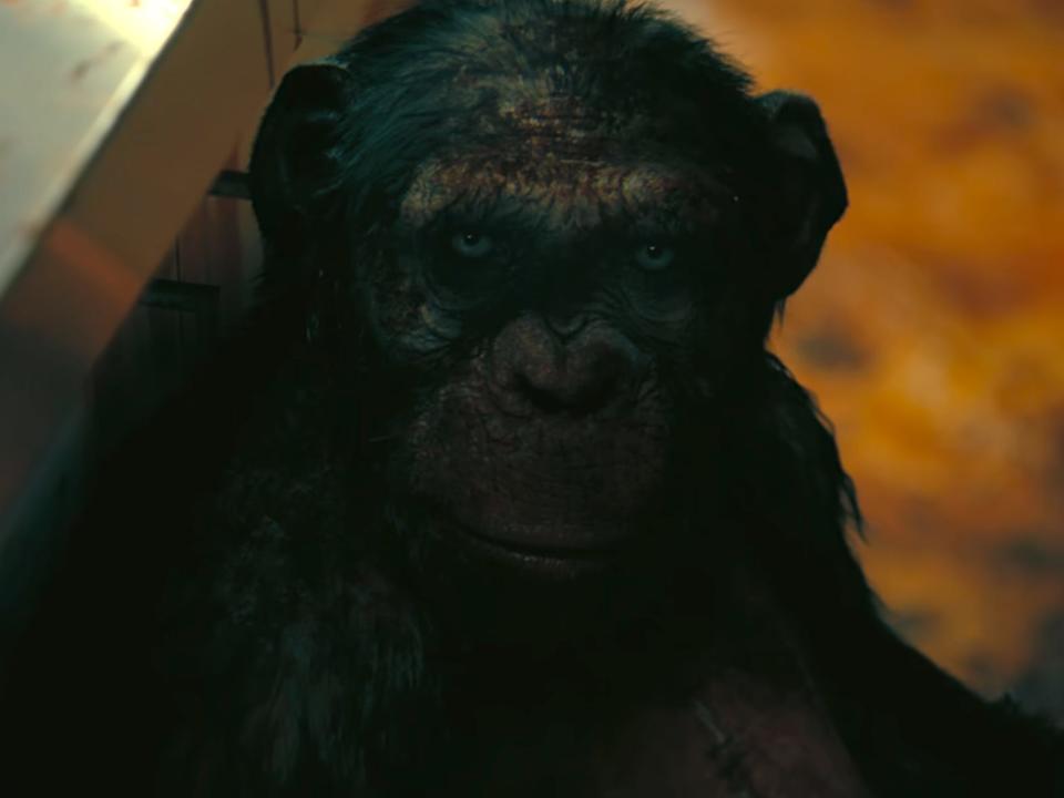 The chimpanzee covered in blood in "The Fall of the House of Usher."