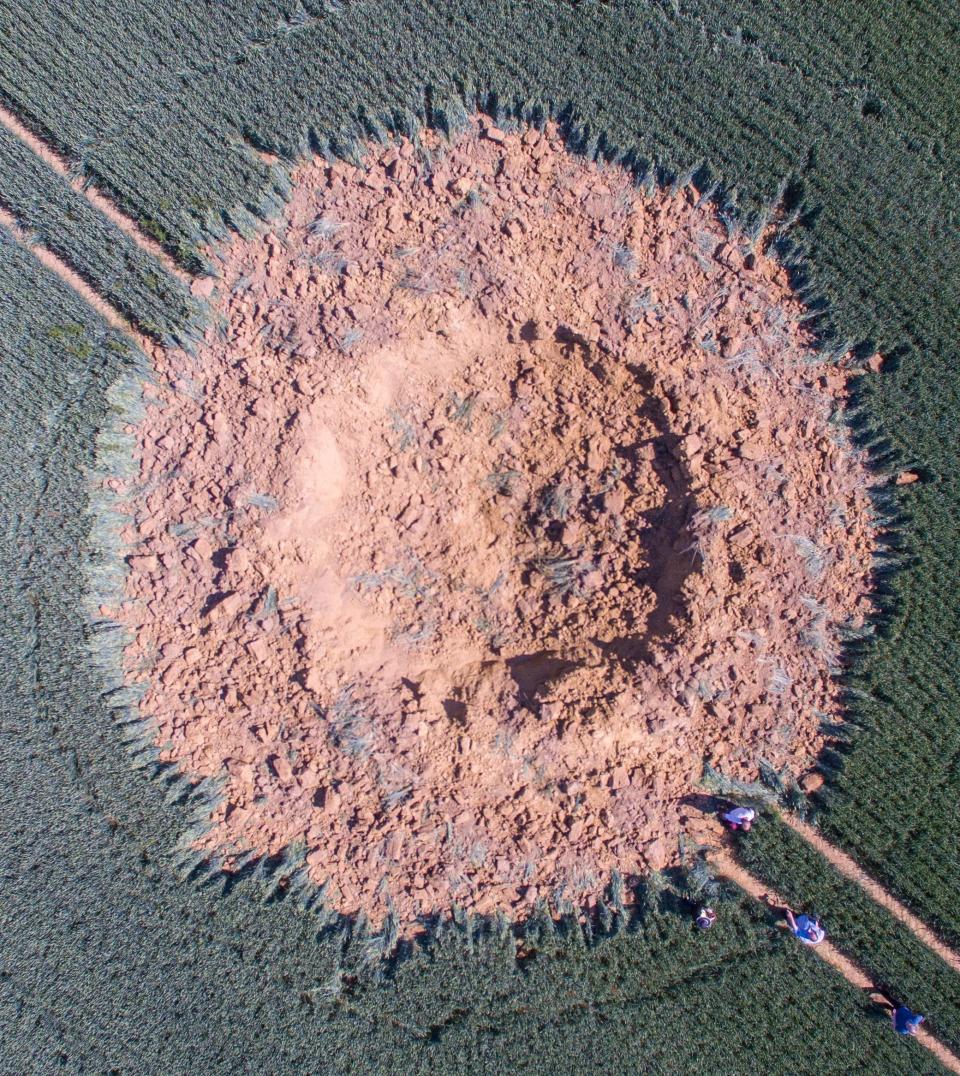 A big crater is pictured on a corn field after a bomb from World War Two exploded in Halbach (AP)