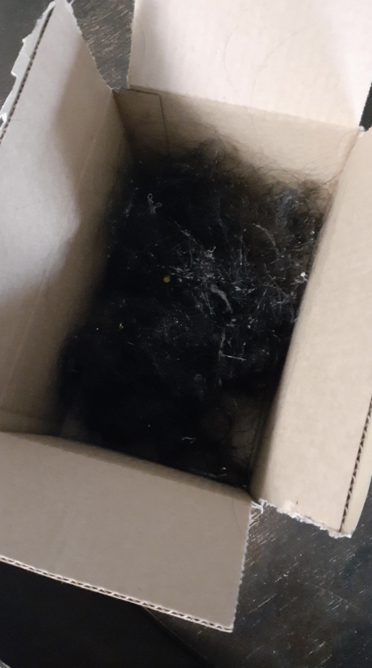 Box full of dirty hair and lint
