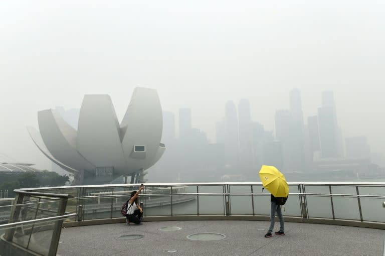 A tourist (left) takes a "selfie" on a bridge overlooking the Singapore skyline choked with smog on September 29, 2015