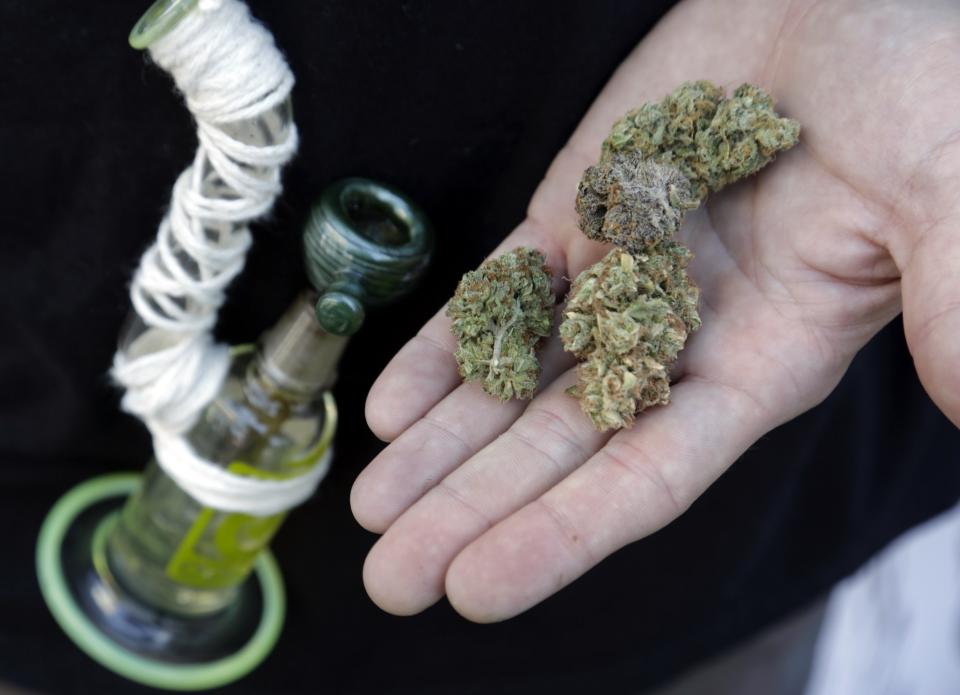 An attendee holds out several marijuana buds at the High Times U.S. Cannabis Cup in Seattle