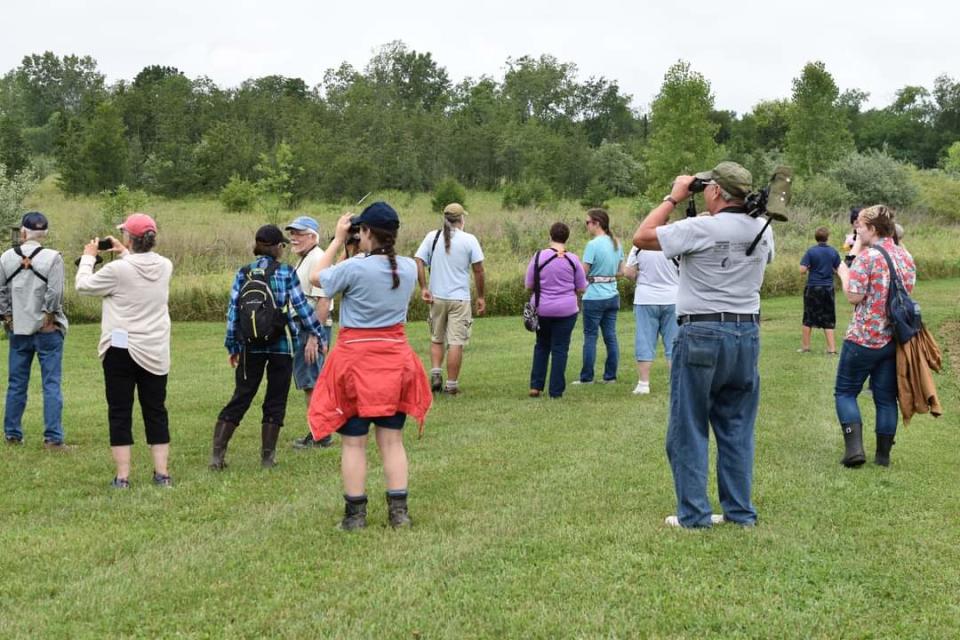 Birders at The Bobolinks and Butterflies Festival observe an Eastern Phoebe.