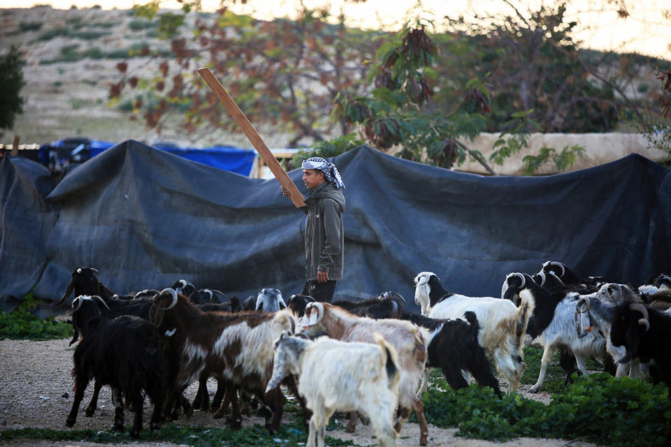 A shepherd stands among a heard of sheep (Saeed Qaq / /SOPA Images/LightRocket via Getty Images file)