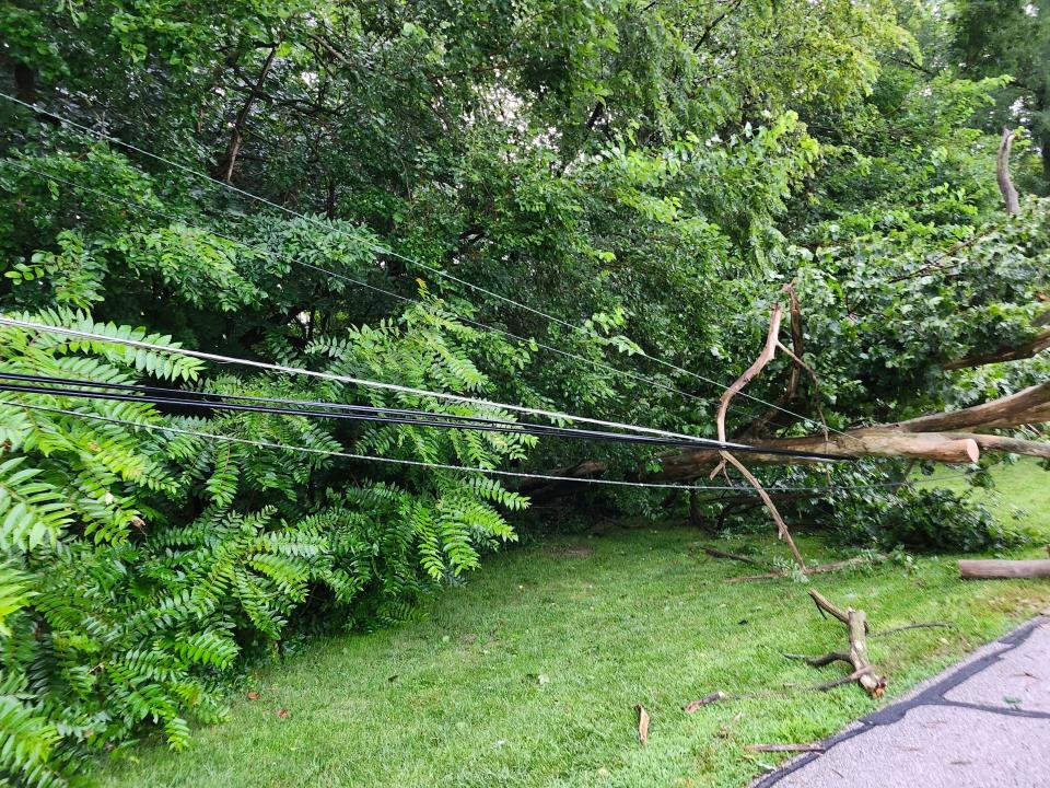 Power lines were toppled during the early morning thunderstorm that passed through Tippecanoe County Tuesday, July 16, 2024.