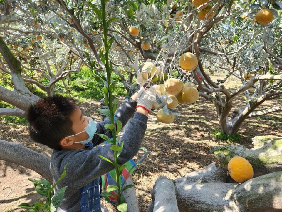 ▲ 橙色農作休閒果園希望透過環境教育傳遞農村裡的美好故事。