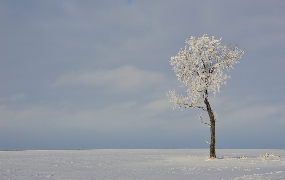 Solitude. (<a href="http://www.flickr.com/photos/imrickndakota/8287932816/in/pool-yahoo-break-news" rel="nofollow noopener" target="_blank" data-ylk="slk:Photo by im pastor rick on Flickr.;elm:context_link;itc:0;sec:content-canvas" class="link ">Photo by im pastor rick on Flickr.</a>)