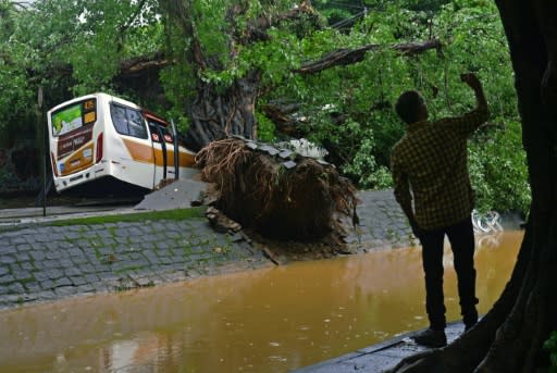 A man takes a photo near a bus crushed by a fallen tree in Rio de Janeiro, Brazil, on April 9, 2019