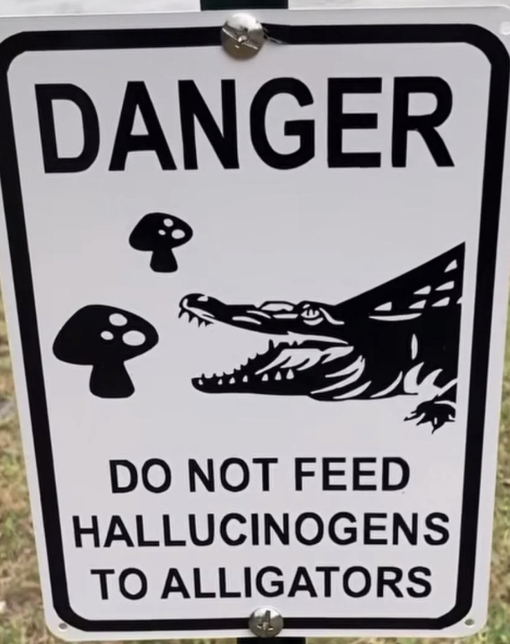 Sign reading "Danger: Do Not Feed Hallucinogens to Alligators" with illustrations of an alligator and mushrooms