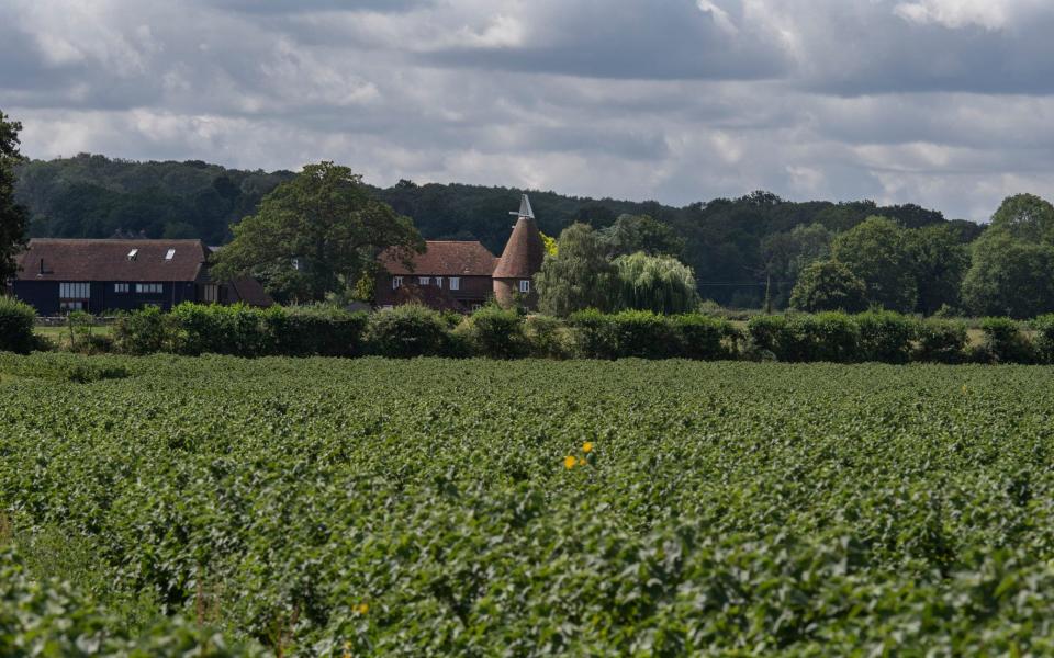 The borough council earmarked 2,100 new houses for Tudeley in its draft Local Plan to 2038 and a further 2,160 homes in East Capel between Five Oak Green and Paddock Wood - Julian Simmonds 