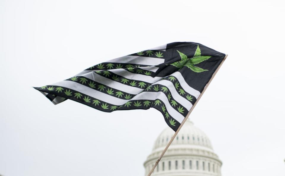 A U.S. flag redesigned with marijuana leaves blows in the wind as DCMJ.org holds a protest on April 24, 2017, in front of the U.S. Capitol to call on Congress to reschedule the drug classification of marijuana. (Photo By Bill Clark/CQ Roll Call)