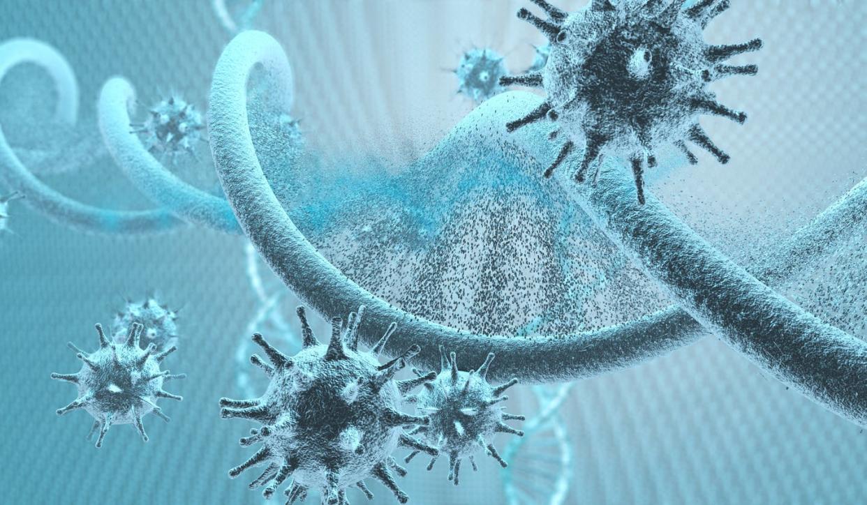 <span class="caption">The relationship between the coronavirus and human genetics is murky. </span> <span class="attribution"><a class="link " href="https://www.gettyimages.com/detail/photo/virus-cells-attacking-a-dna-strand-royalty-free-image/1183281148?adppopup=true" rel="nofollow noopener" target="_blank" data-ylk="slk:fatido/E+ via Getty Images;elm:context_link;itc:0;sec:content-canvas">fatido/E+ via Getty Images</a></span>