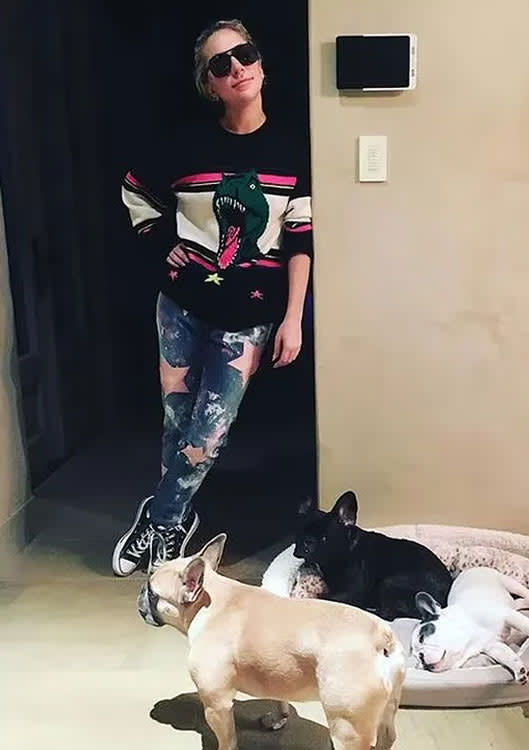 Lady Gaga con sus tres perros en casa 