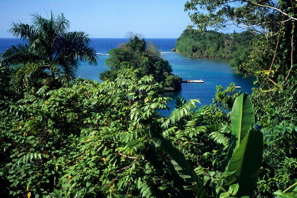 Rainforest and Blue Lagoon in Port Antonio, Portland, Jamaica, Caribbean