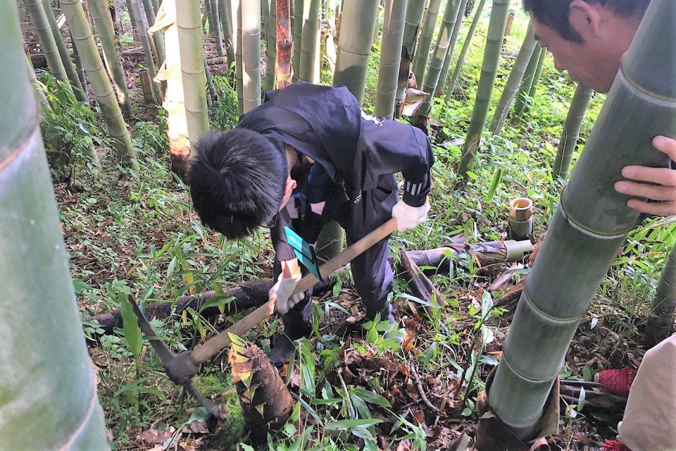 靜修學子體驗農事，上山採筍