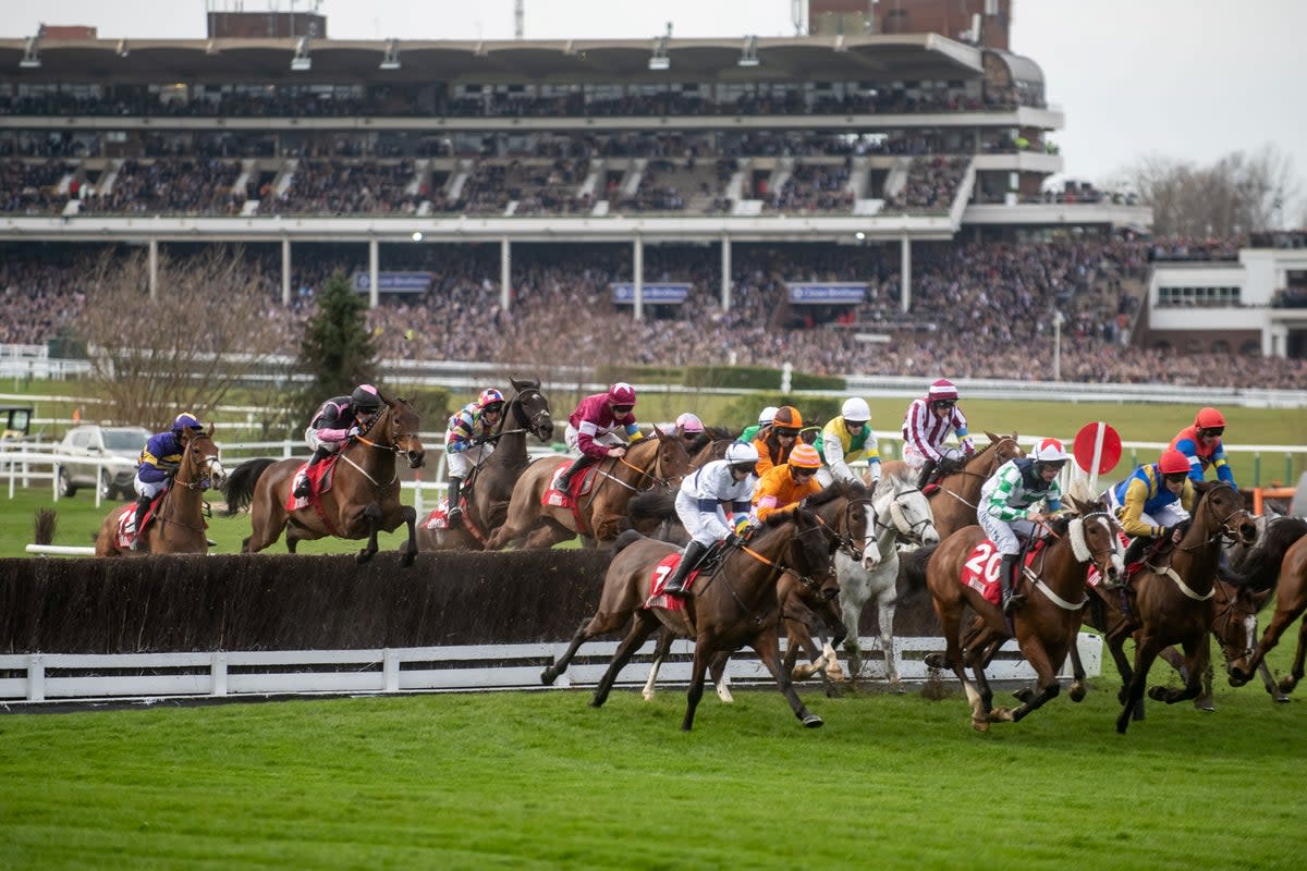 Cheltenham is particularly deadly for horses  (SWNS)