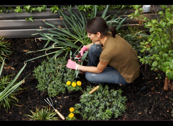 Gardening will torch <a href="http://www.health.harvard.edu/newsweek/Calories-burned-in-30-minutes-of-leisure-and-routine-activities.htm" target="_hplink">more than 150 calories</a> in just 30 minutes -- weeding can burn even more.