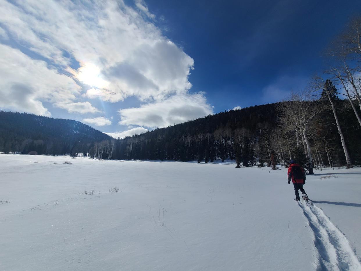 The Baker Creek area is a popular spot for hiking at Great Basin National Park.