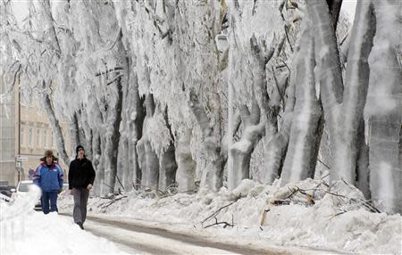 Two men walk next to ice covered trees in Postojna February 4, 2014. REUTERS/Srdjan Zivulovic