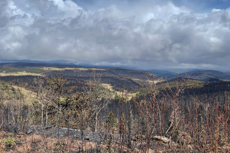 Anger, frustration over wildfires as Biden visits New Mexico