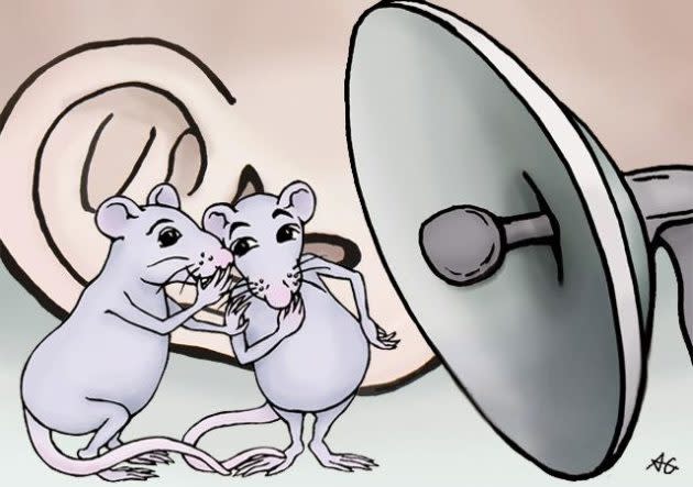 Mouse vocalizations