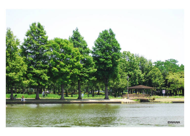 水元公園（東京都葛飾區）