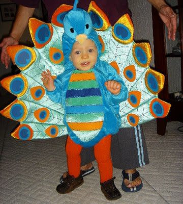 Peacock Baby Costume