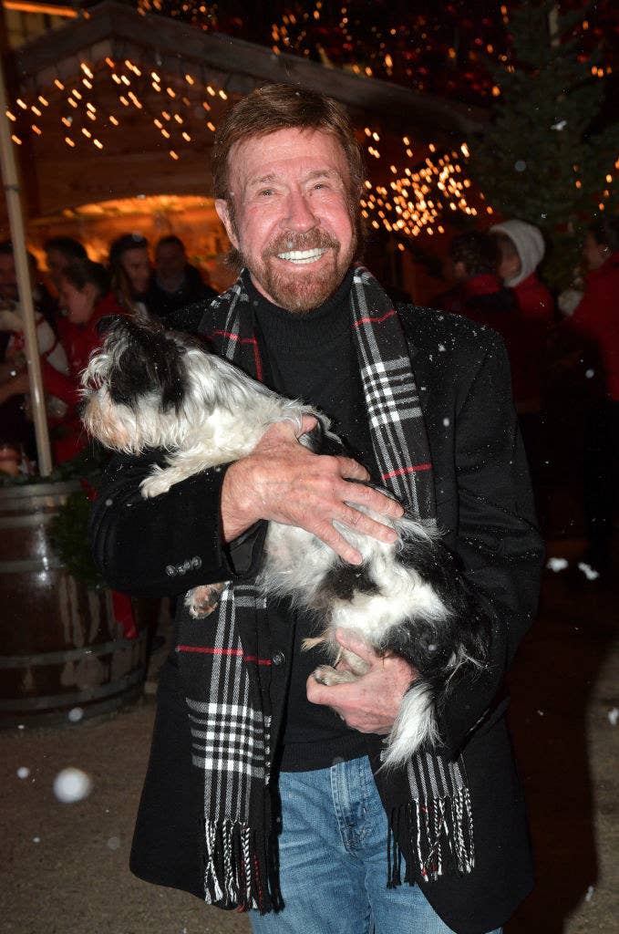 Chuck Norris during the Gut Aiderbichl Christmas Market opening