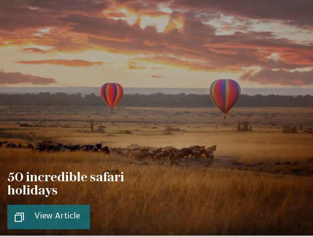 50 incredible safari holidays