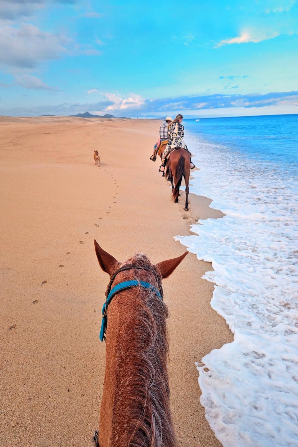 A sunset ride along the beach is the perfect way to explore Los Cabos’ landscape on land (Clerkenwell Boy)