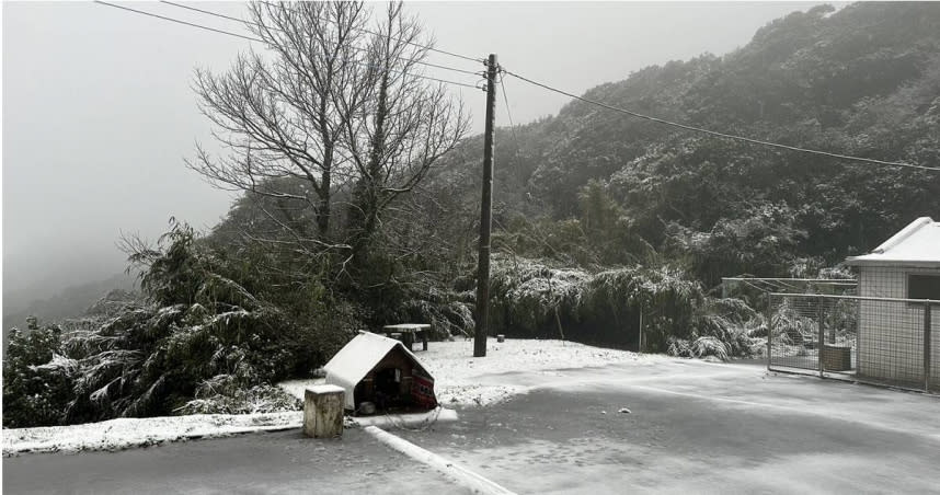 陽明山23日清晨最低溫探至0.1度，二子坪、大屯山迎來銀白世界，民眾嗨翻上山賞雪。（圖／氣象署提供）