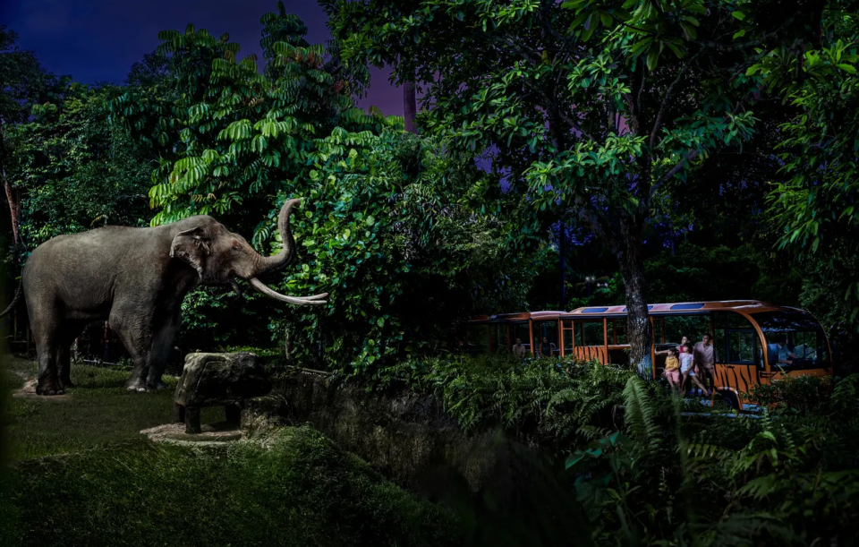 新加坡旅遊｜夜間野生動物園門票6折優惠 人均只需$177連往返遊園車 必睇暮光表演+夜晚精靈動物表演！