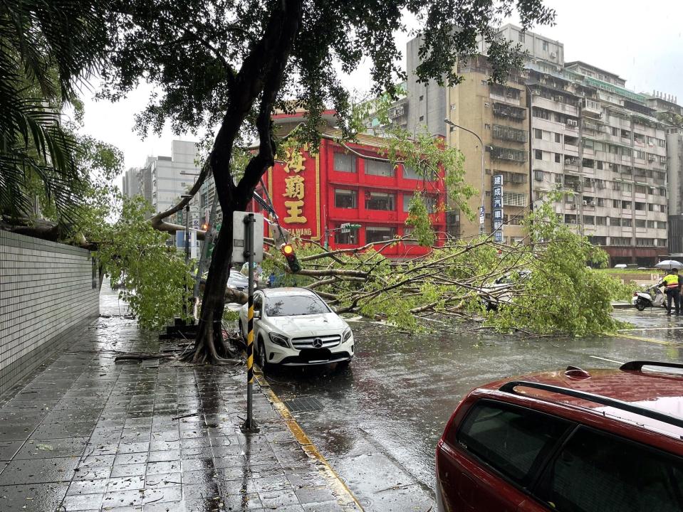 台北市西寧北路、長安西路口附近樹木倒塌，壓損圍牆、路口交通號誌及車輛。（翻攝畫面）