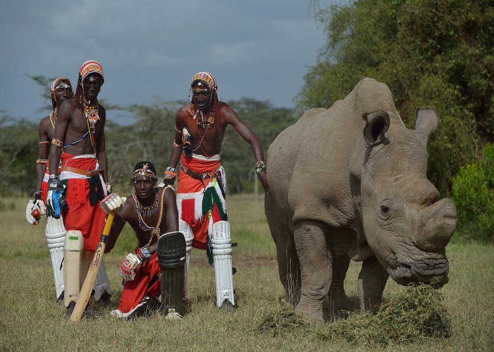 Members of Maasai Cricket Warriors, a cricket team famed for using the sport to raise awareness for HIV/AIDS, women's issues and now the devastating effects of poaching, visit Sudan.