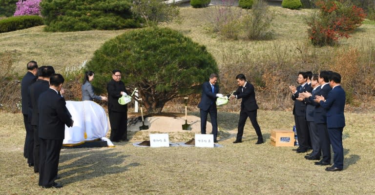 The North's Kim Jong Un and the South's Moon Jae-in were armed with bright-green watering cans for the tree planting