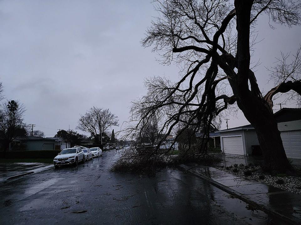 大風雨過後南灣路上可見被吹斷的路樹，受停電影響，路燈也無法提供基本照明，行車安全備受考驗。（記者孫愛薇╱攝影）