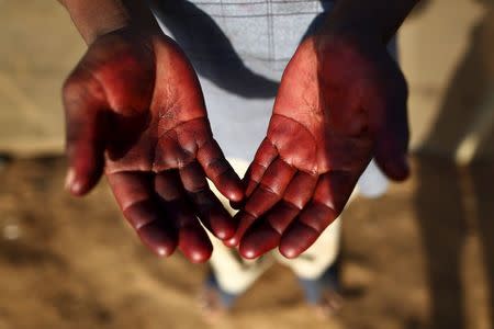 38-year-old Genaro Perfecto, who works as a fruit picker, shows his hands which are stained with strawberry juice in San Quintin in Baja California state, Mexico April 1, 2015. REUTERS/Edgard Garrido