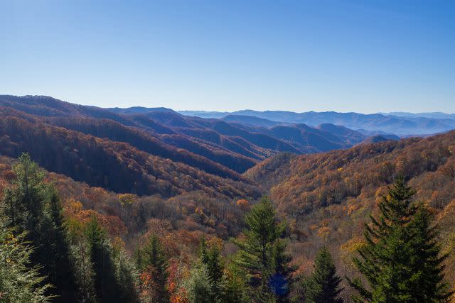 <p>Valerie de Leon/Travel + Leisure</p> Great Smoky Mountains National Park.