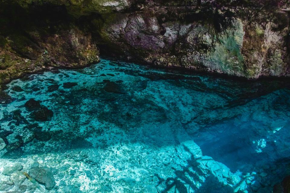 The Hoyo Azul is found within Scape Park, just south of Punta Cana (Getty Images/iStockphoto)