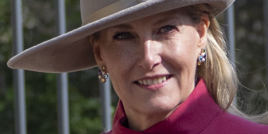 sophie duchess of edinburgh colour blocking