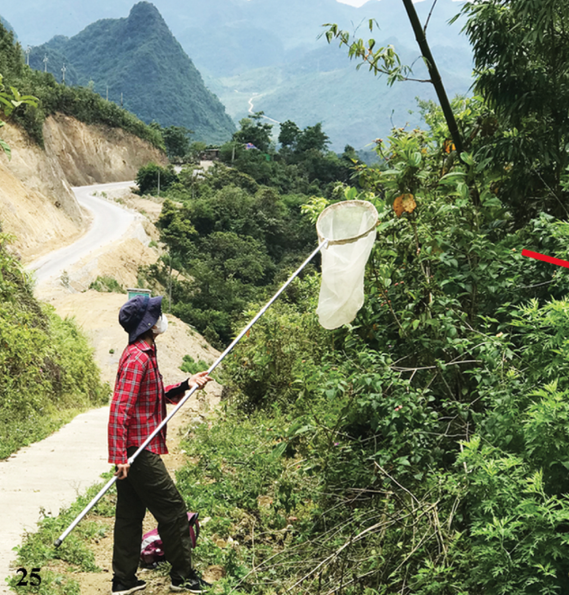 Specimens were collected from a wall of plants and flowers by a road in the national park, researchers said.