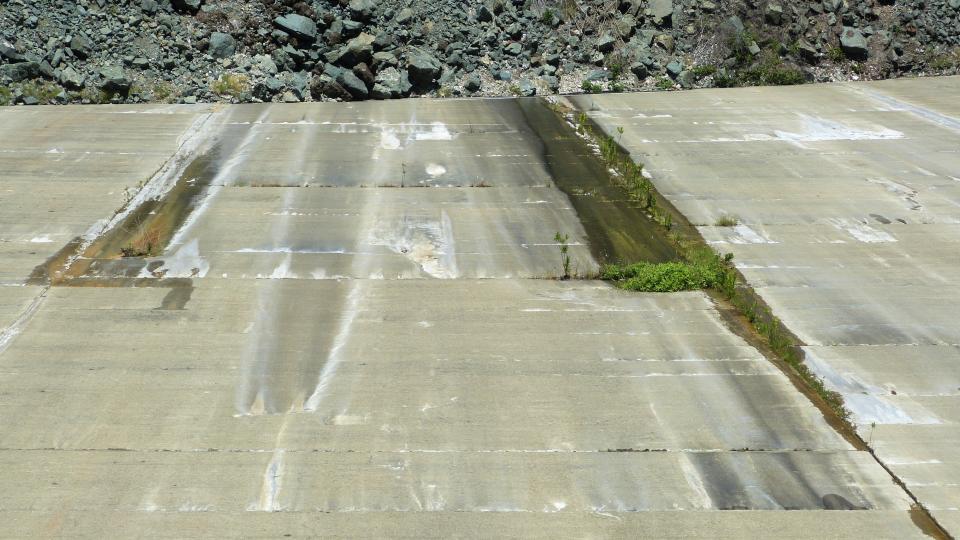 Vegetation grows along an area where water is seeps out along the downstream face of Shasta Dam on Monday, May 15, 2023.