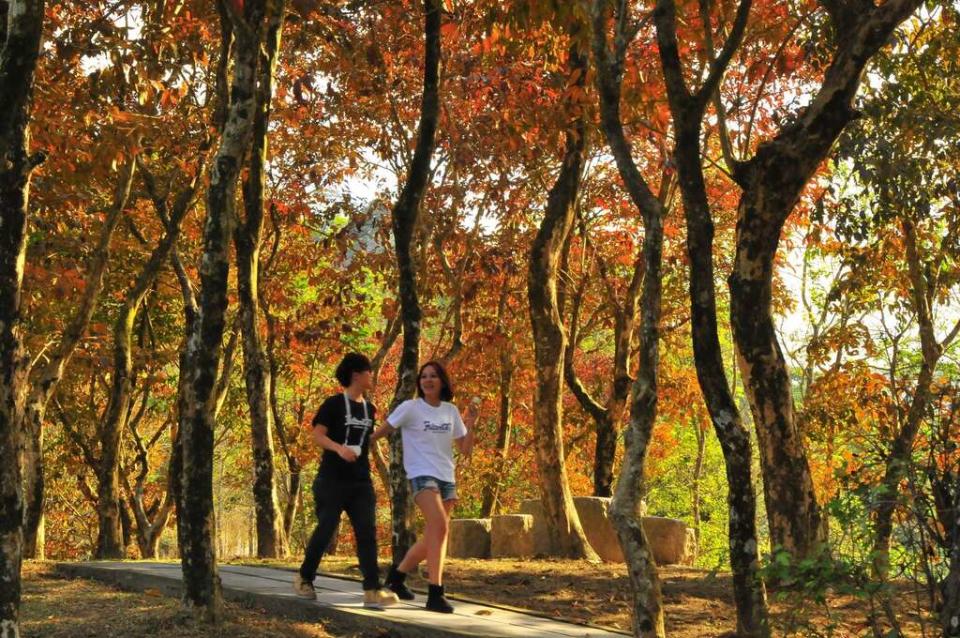 台南紅葉公園（圖片來源：台南旅遊網）