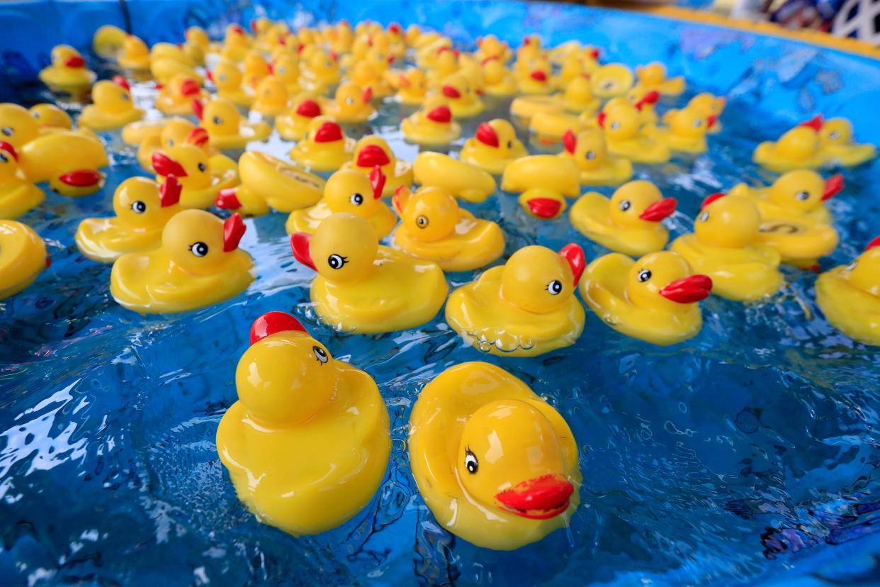 Rubber duckies float in a pool as carnival games are set up on the opening day of the Brown County Fair on Wednesday, August 15, 2018 in De Pere, Wis.